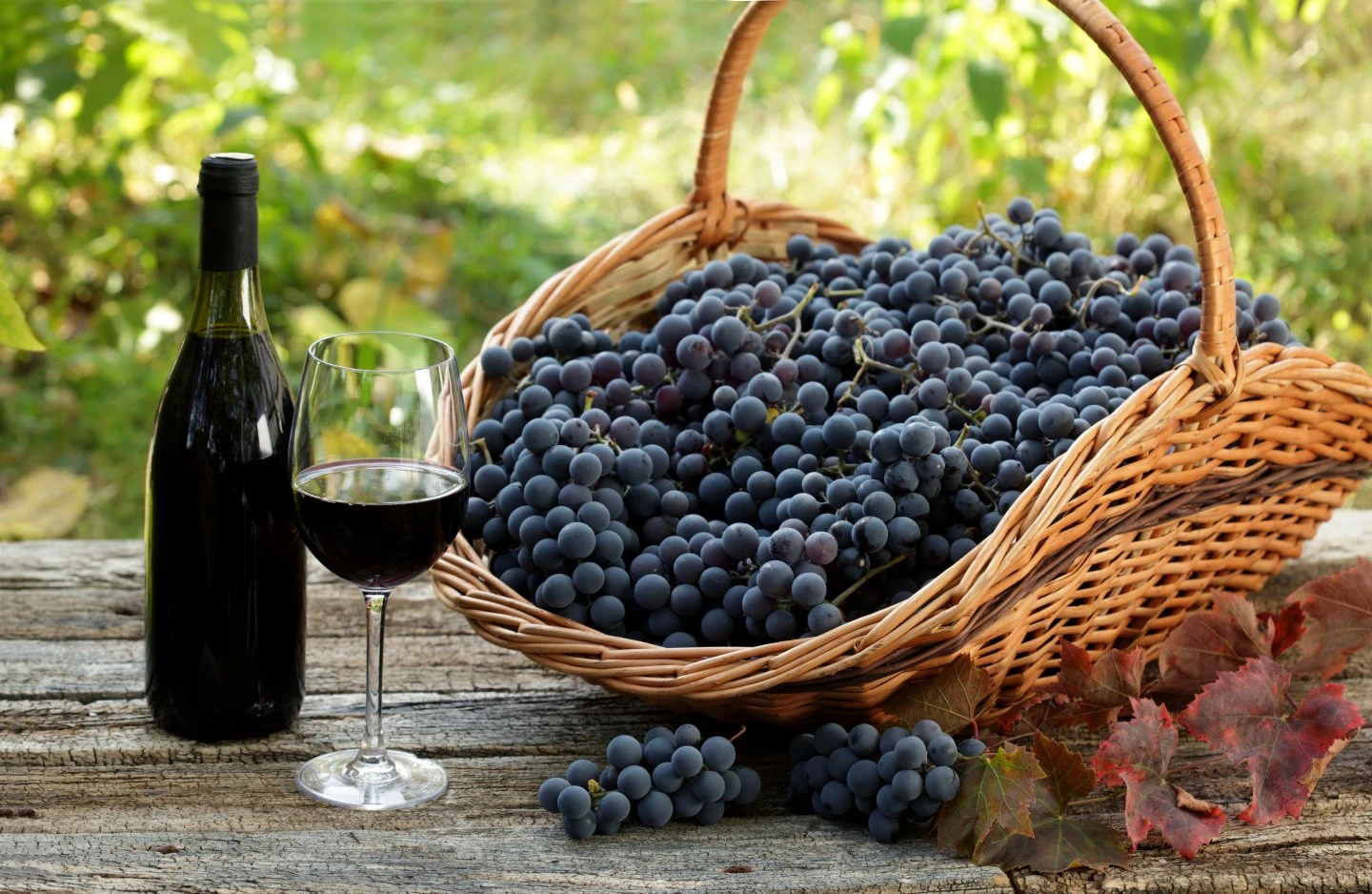 grape skin extract powder2 grape skin extract powder2