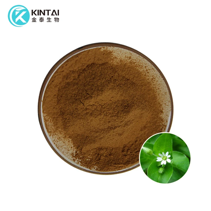Chickweed Extract