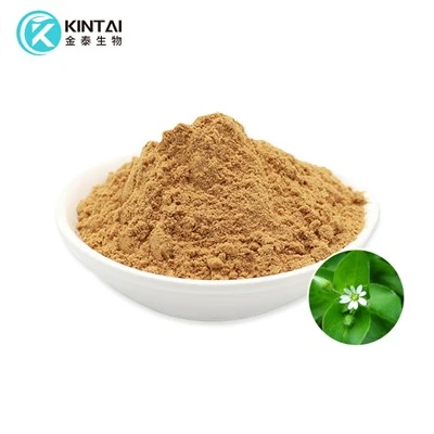 chickweed extract powder chickweed extract powder